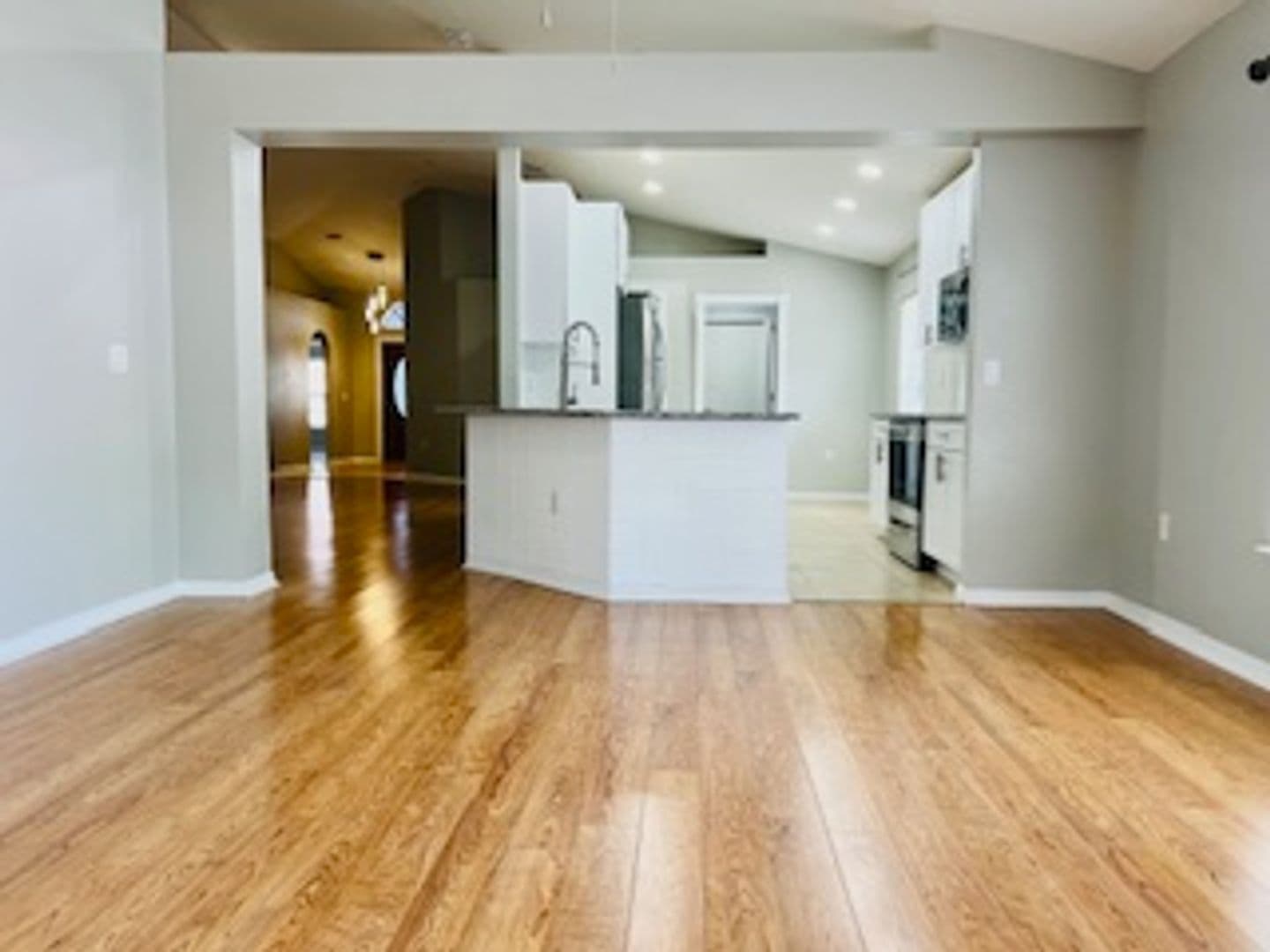 Land O Lakes House: 17010 Torvest Court