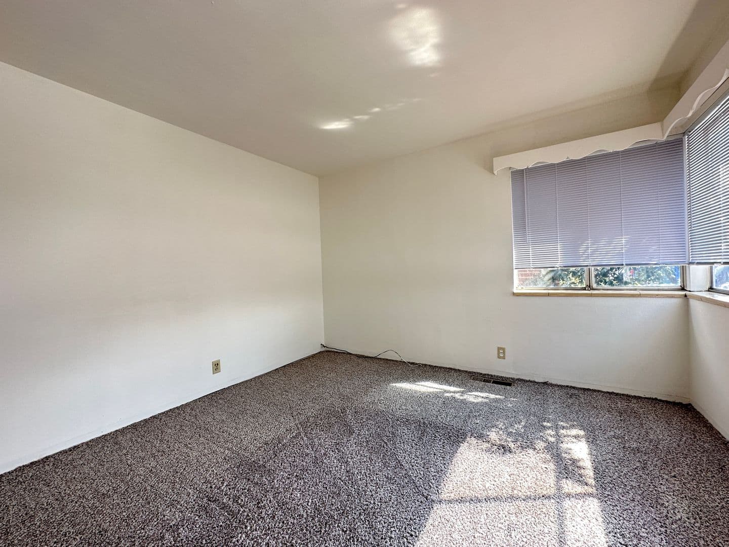 Reno House: 362 Wilson Ave