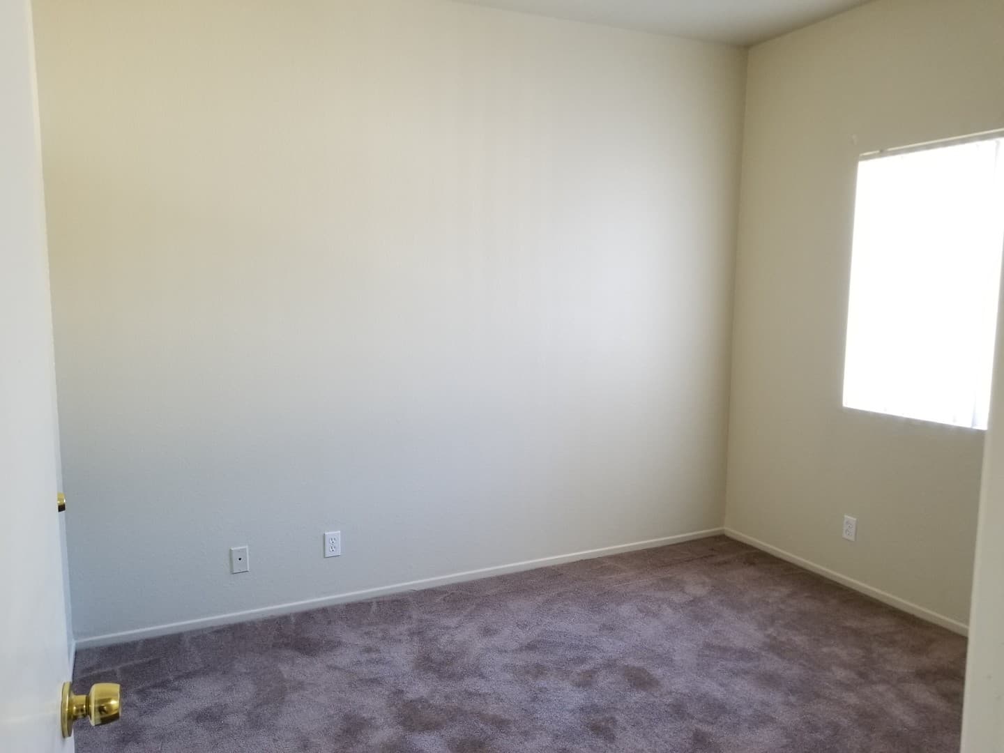 Long Beach Apartment: 800 Rose Avenue