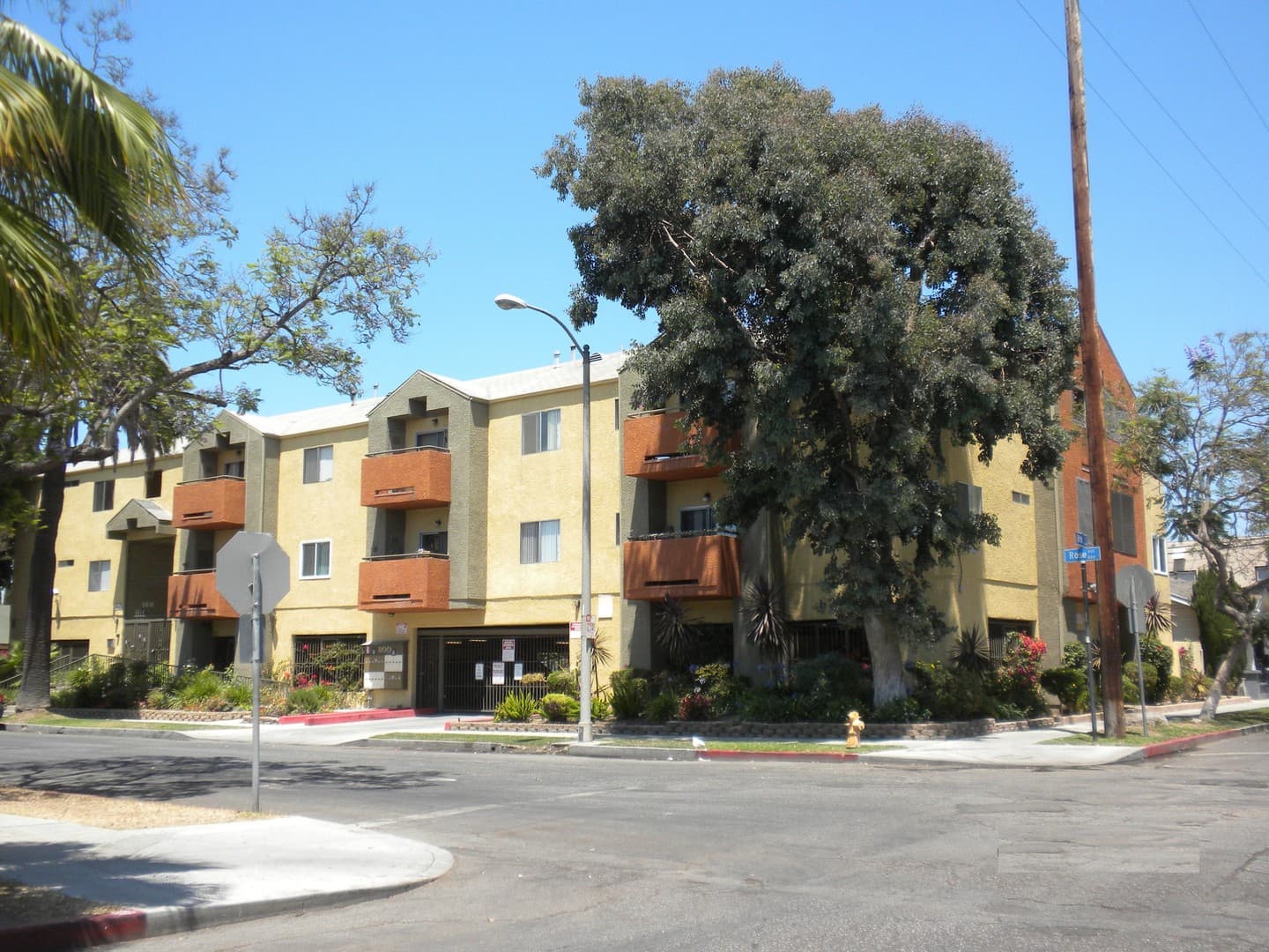 Long Beach Apartment: 800 Rose Avenue