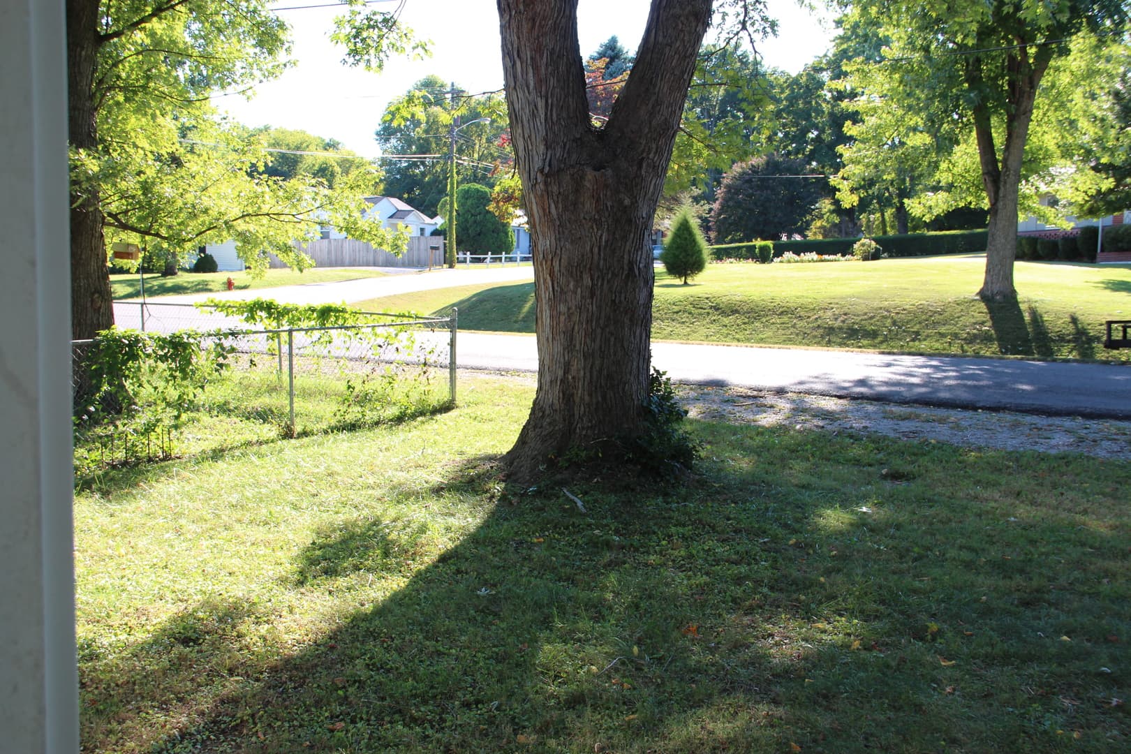 Nashville House: 705 Braidwood Drive