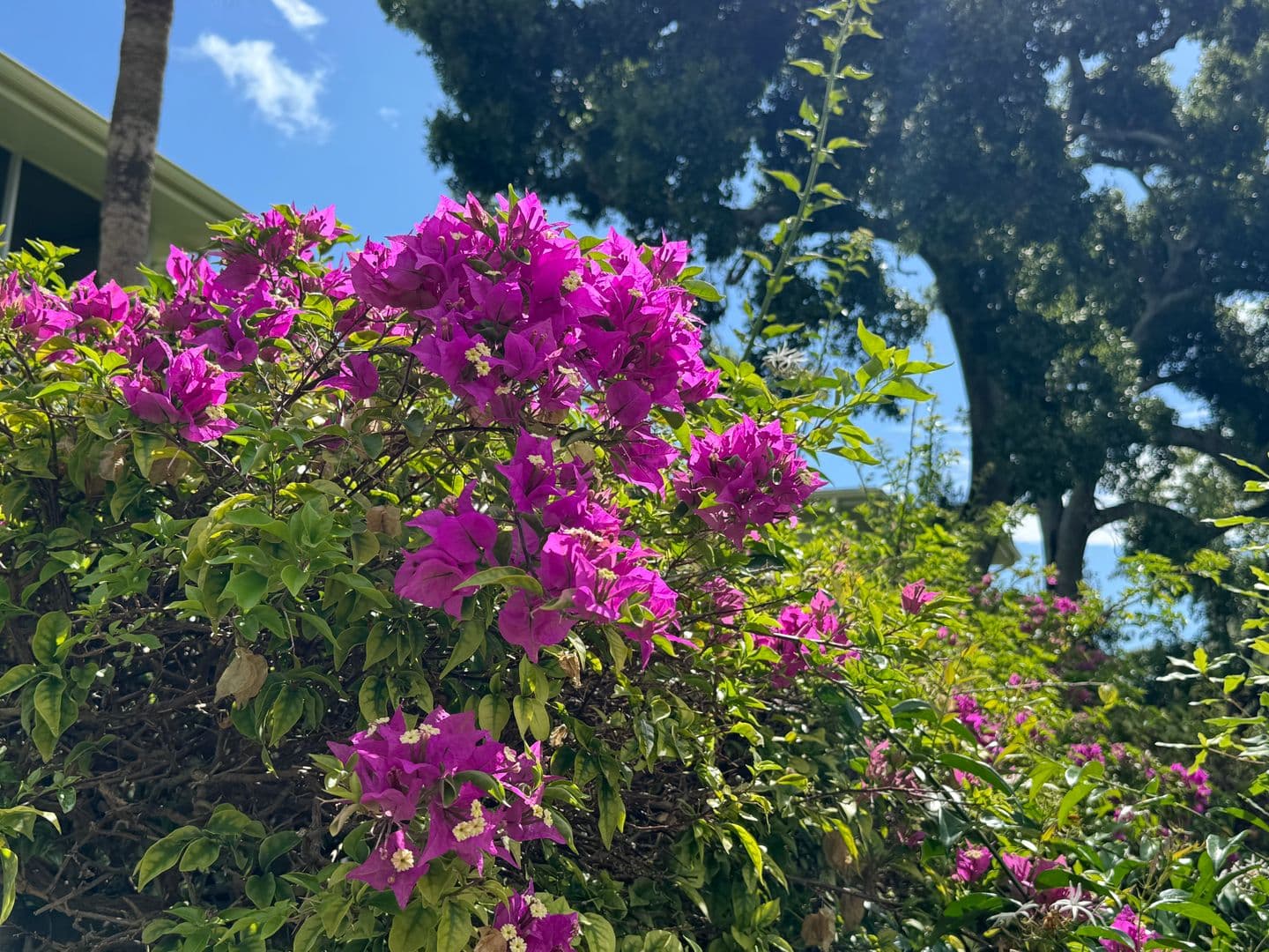 Vero Beach Condo: 1100 Ponce De Leon Cir. # E306