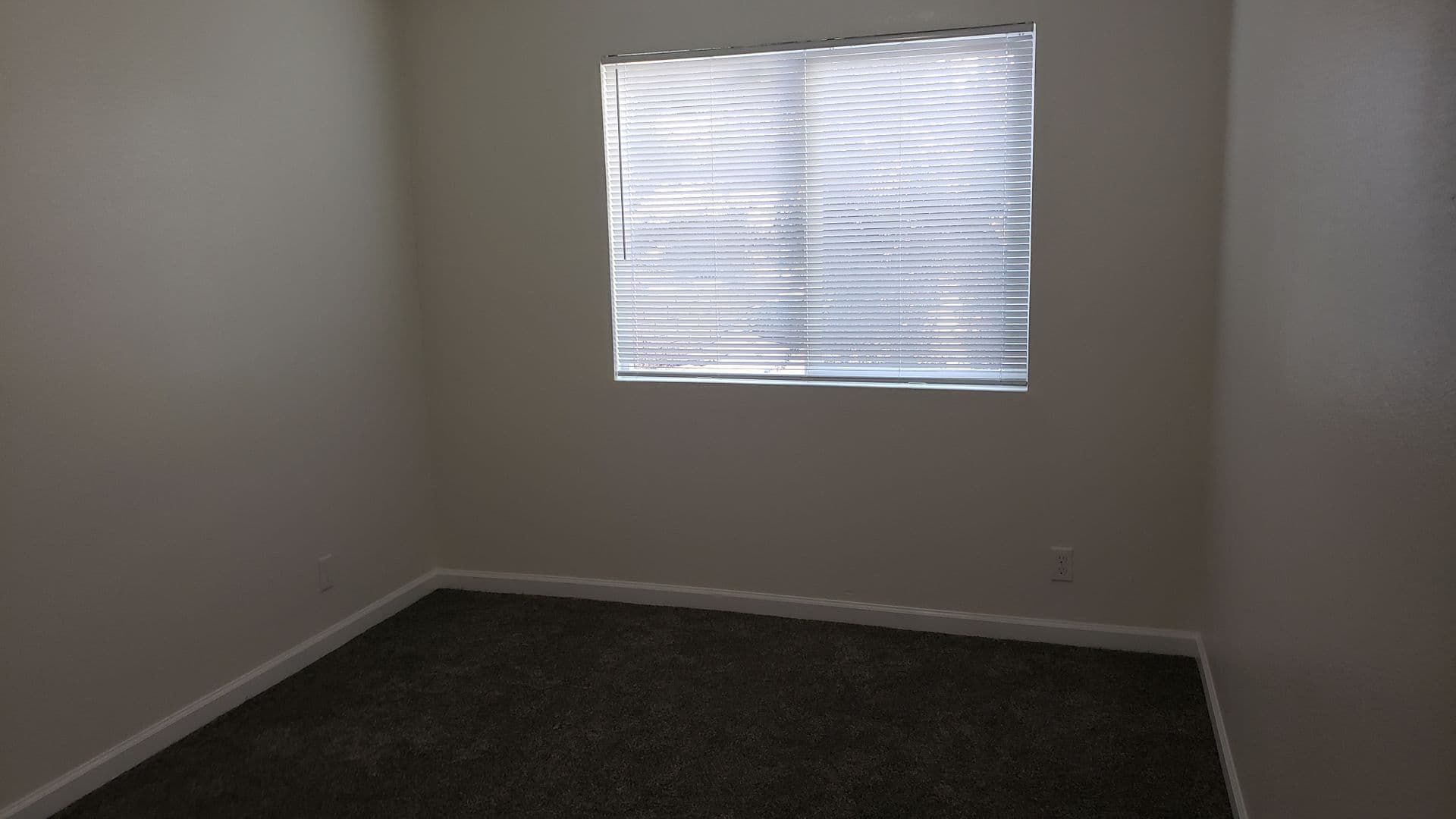 Reno Apartment: 3040 Berrum Place