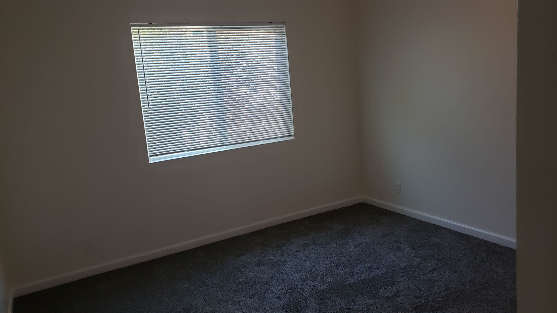 Reno Apartment: 3040 Berrum Place