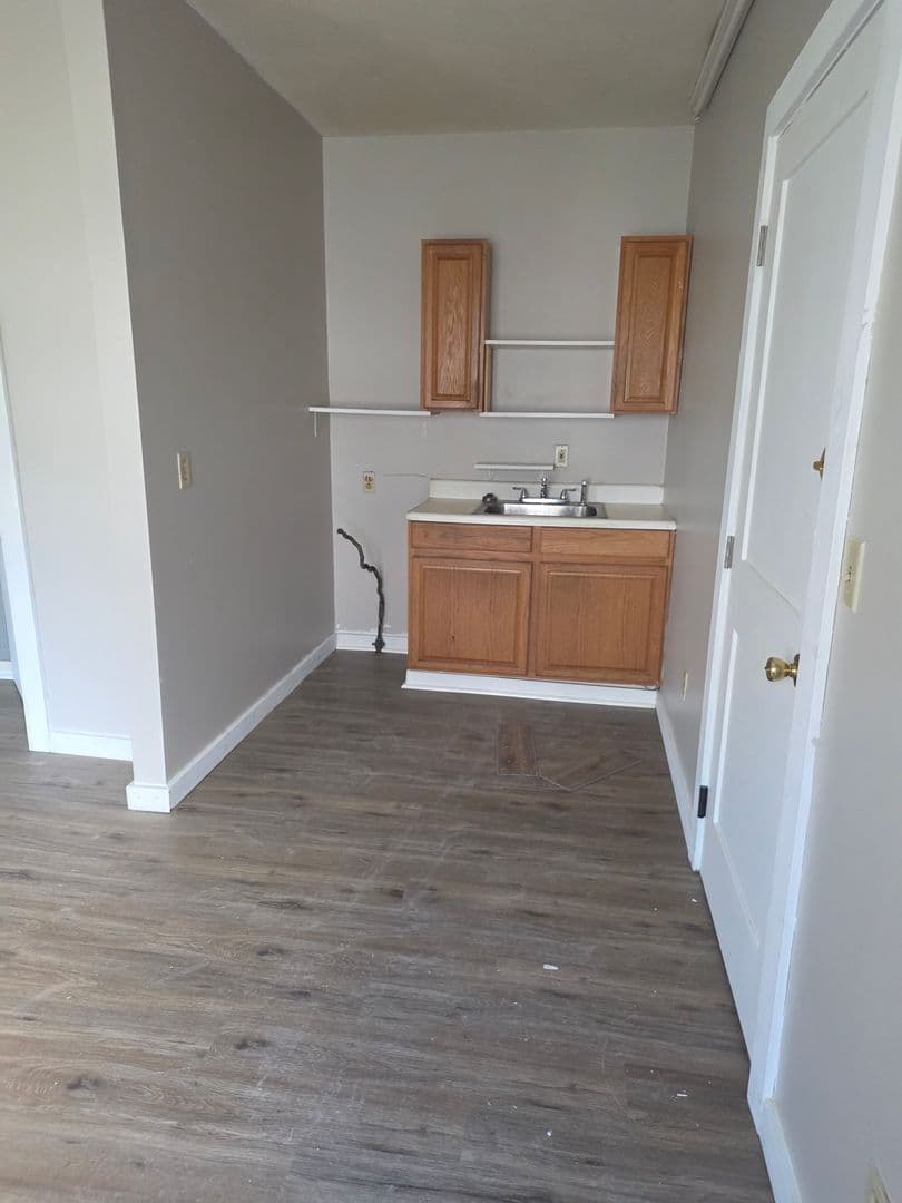 Syracuse Apartment: 516 E Willow St