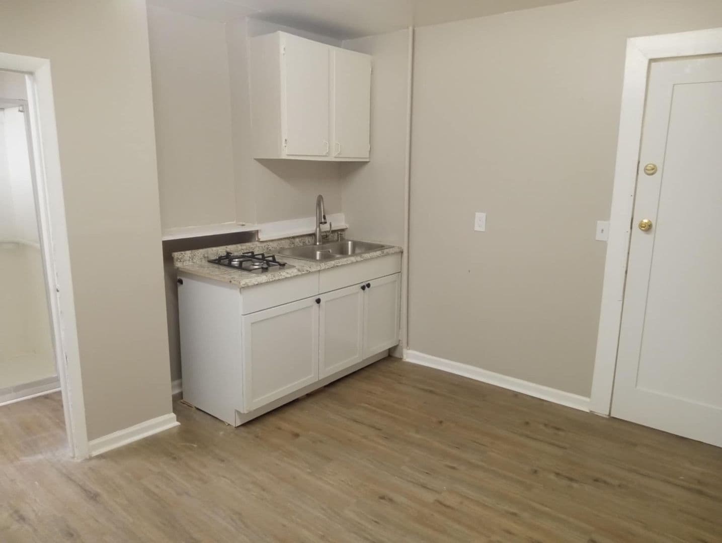Syracuse Apartment: 516 E Willow St