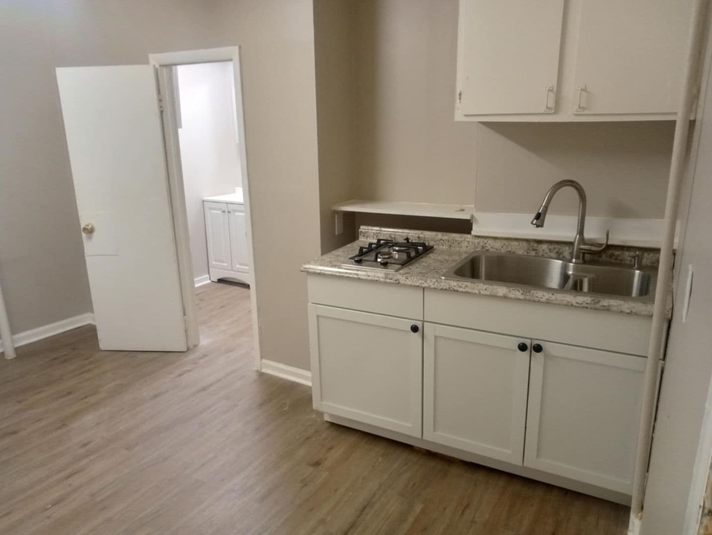 Syracuse Apartment: 516 E Willow St