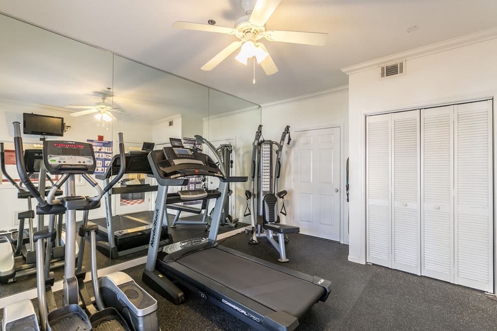 Tallahassee Apartment: 1560 High Rd.