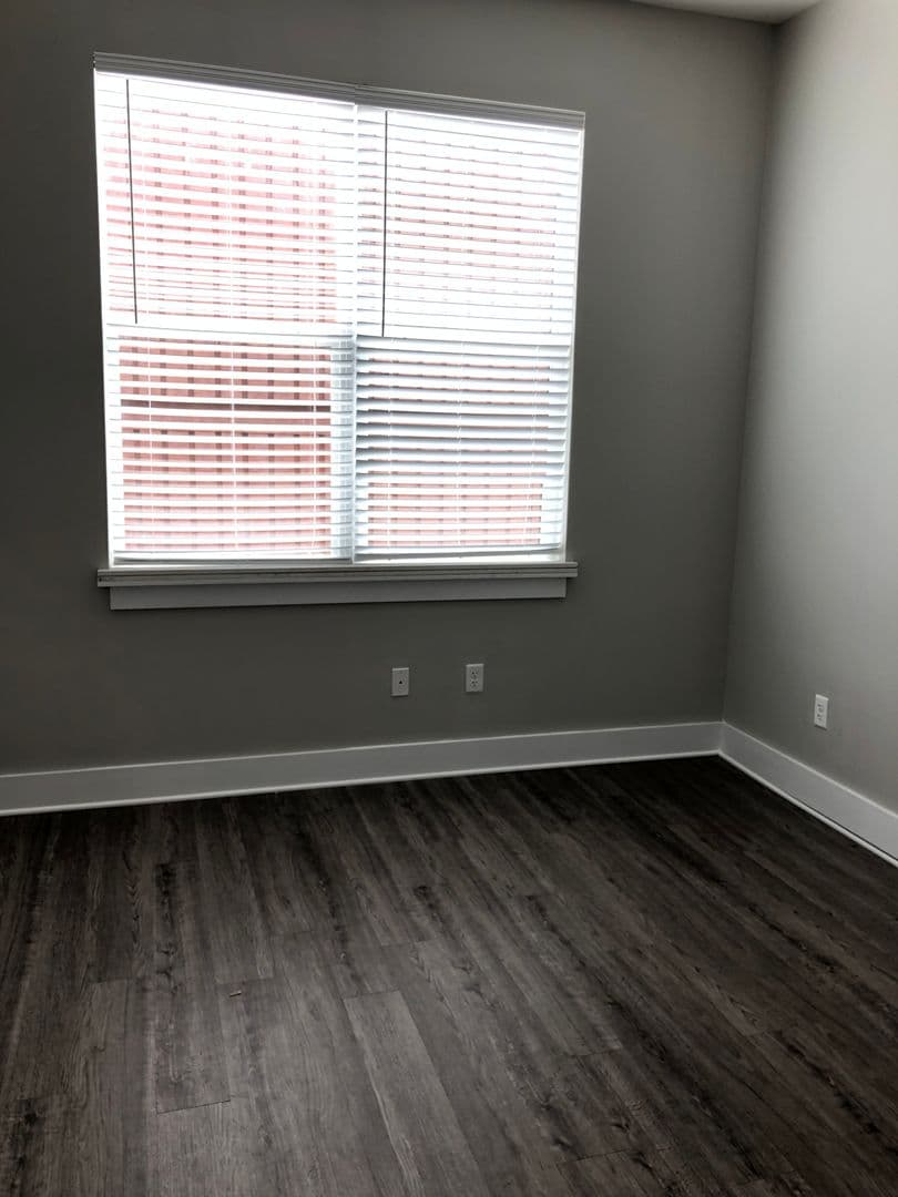 Tallahassee Apartment: 509 St Francis St