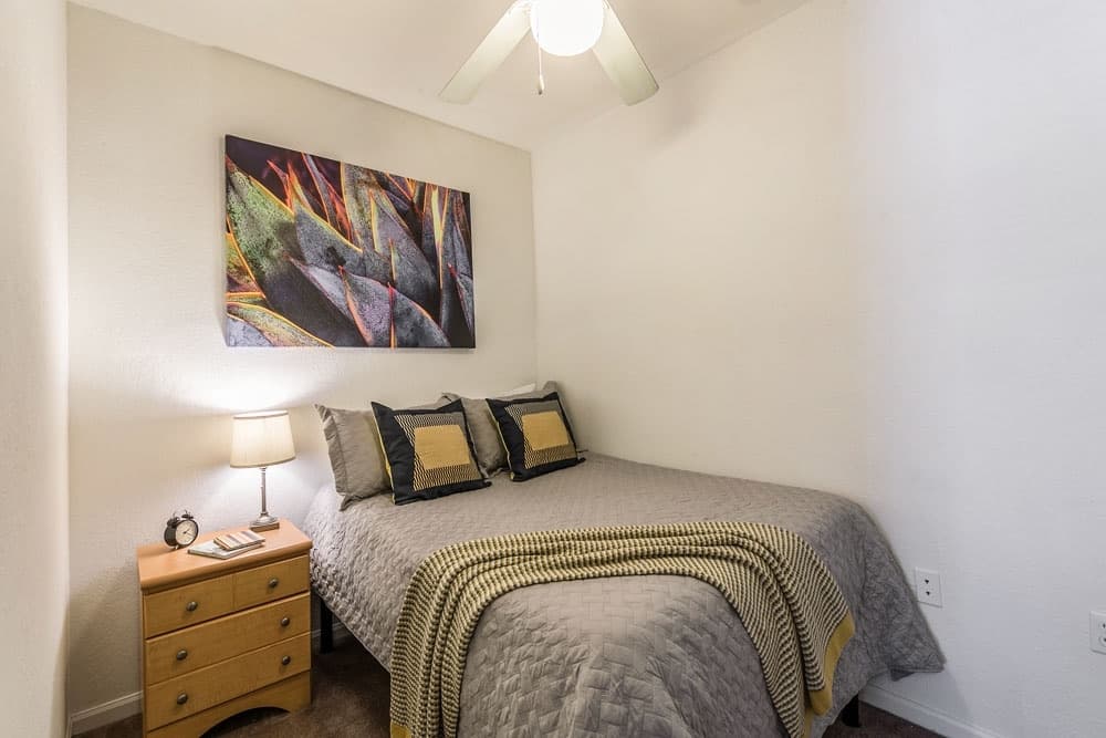 Tallahassee Apartment: 1560 High Rd.