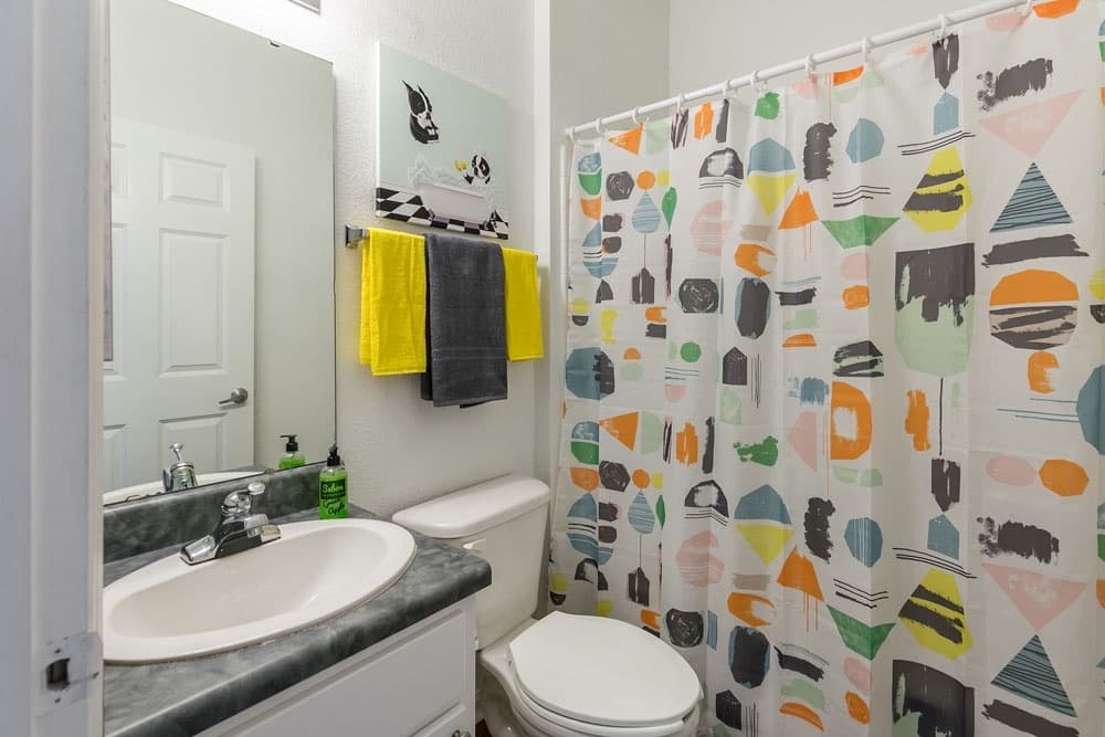 Tallahassee Apartment: 1560 High Rd.