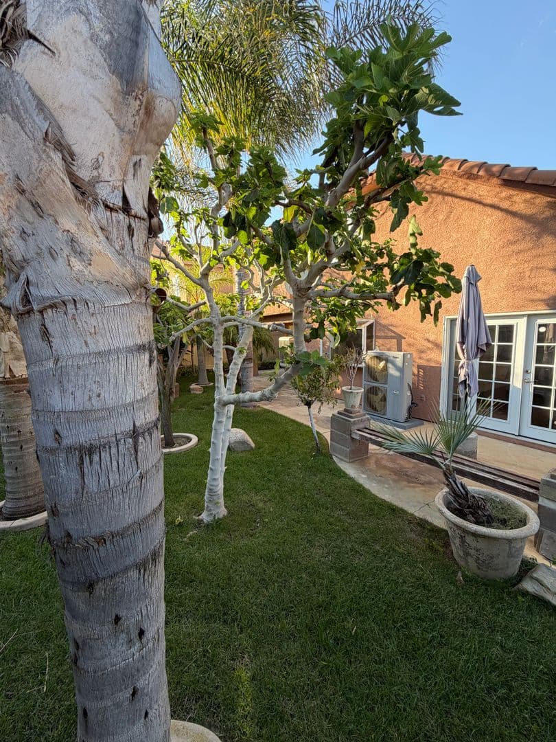 Murrieta House: 23183 Joaquin Ridge Dr