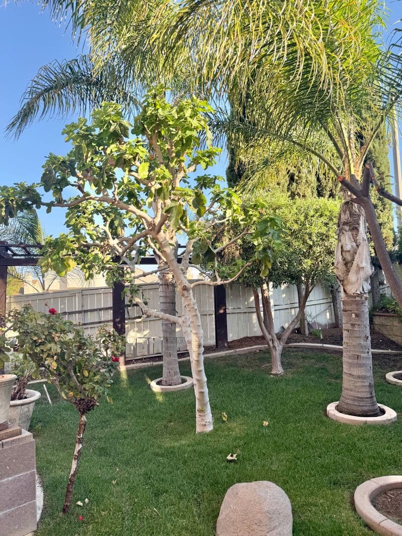Murrieta House: 23183 Joaquin Ridge Dr
