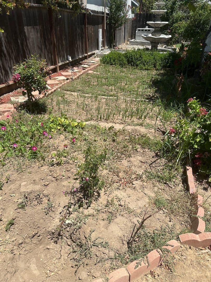 Merced House: 909 E Olive Ave.