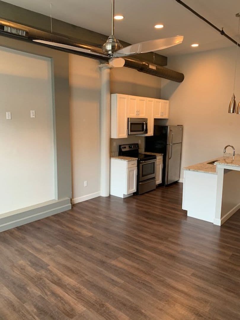 Saint Louis Apartment: 1917 Rutger Street