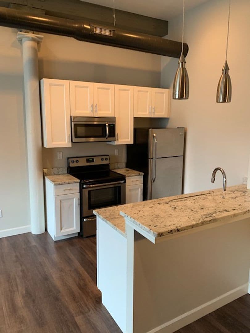 Saint Louis Apartment: 1917 Rutger Street