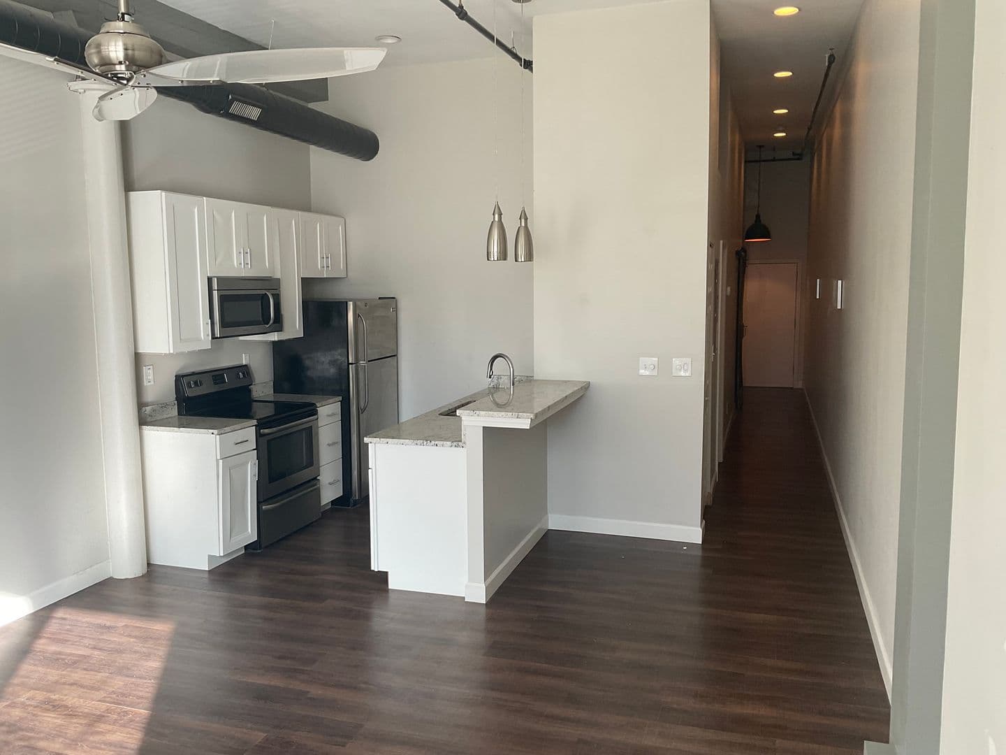 Saint Louis Apartment: 1917 Rutger Street
