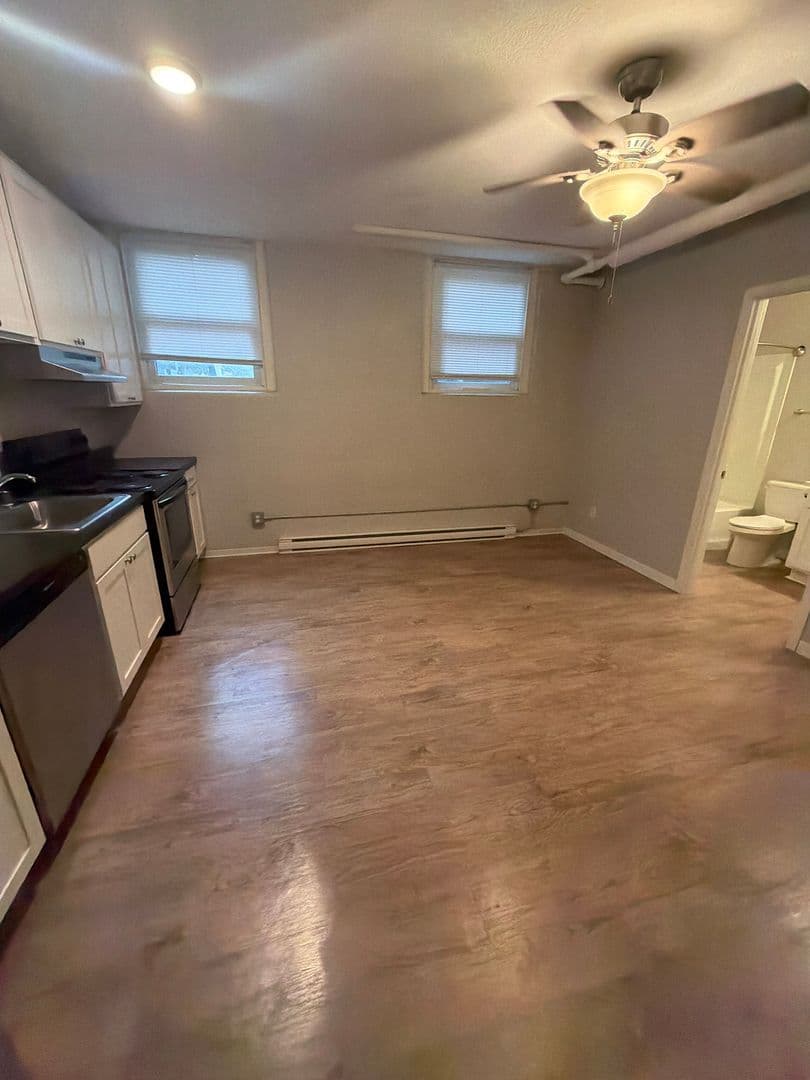 Minneapolis Apartment: 119-23 W. 33rd St.