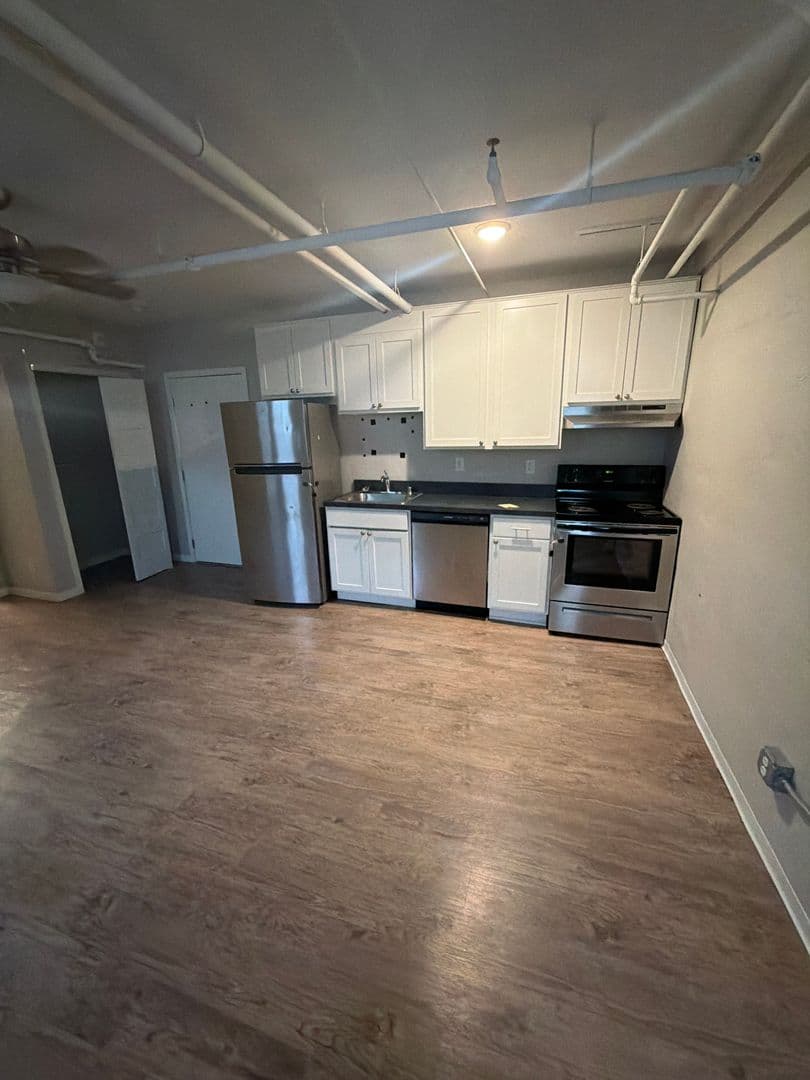 Minneapolis Apartment: 119-23 W. 33rd St.
