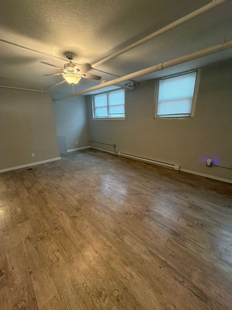 Minneapolis Apartment: 119-23 W. 33rd St.