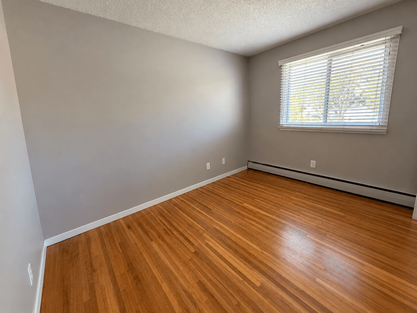 Minneapolis Apartment: 3900 Minnehaha Ave So.