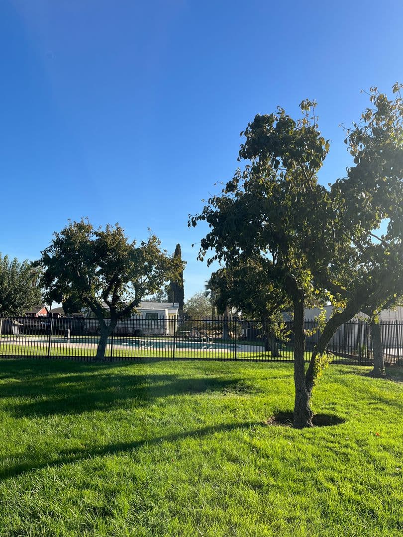 Los Banos Apartment: 1548 Canal Farm Lane