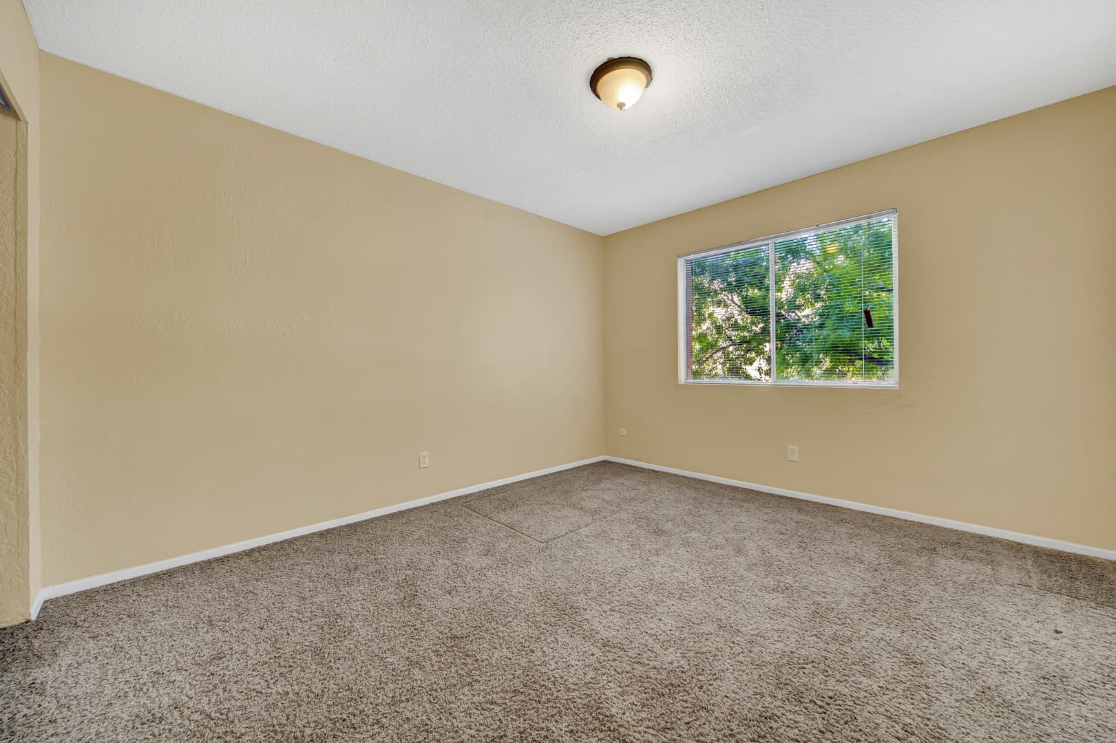 El Paso Apartment: 5500 Confetti Drive