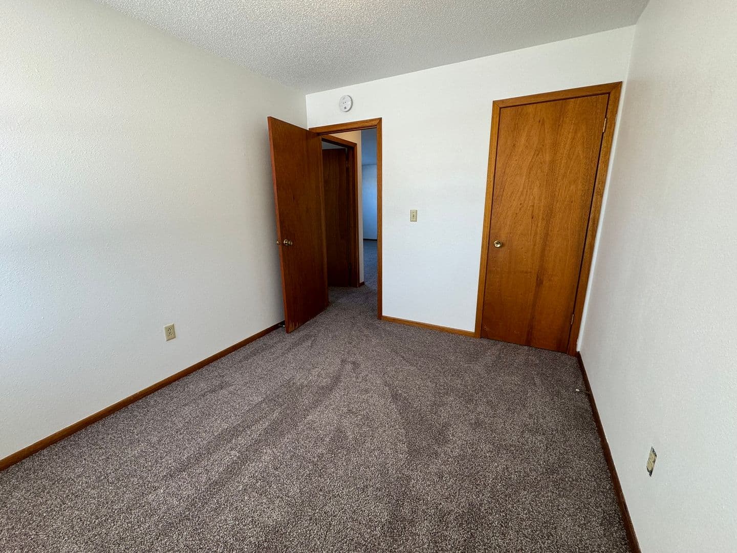 Boone Apartment: 1202 8th Street