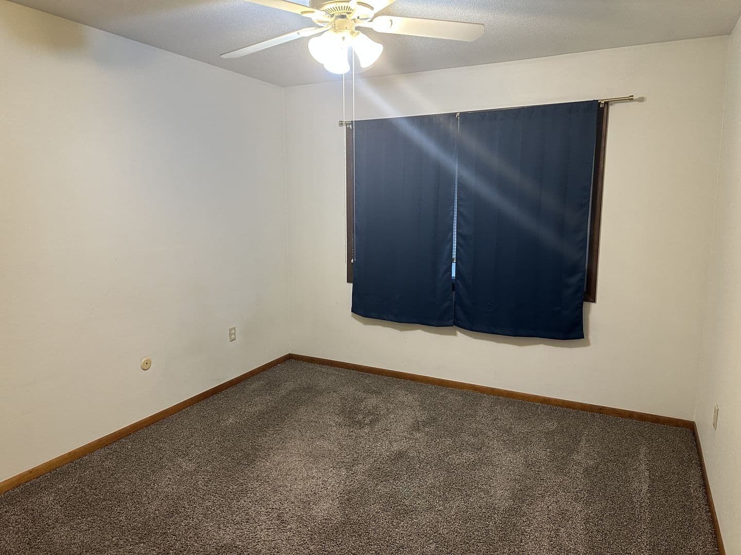 Boone Apartment: 1003 - 1005 Parkway Drive
