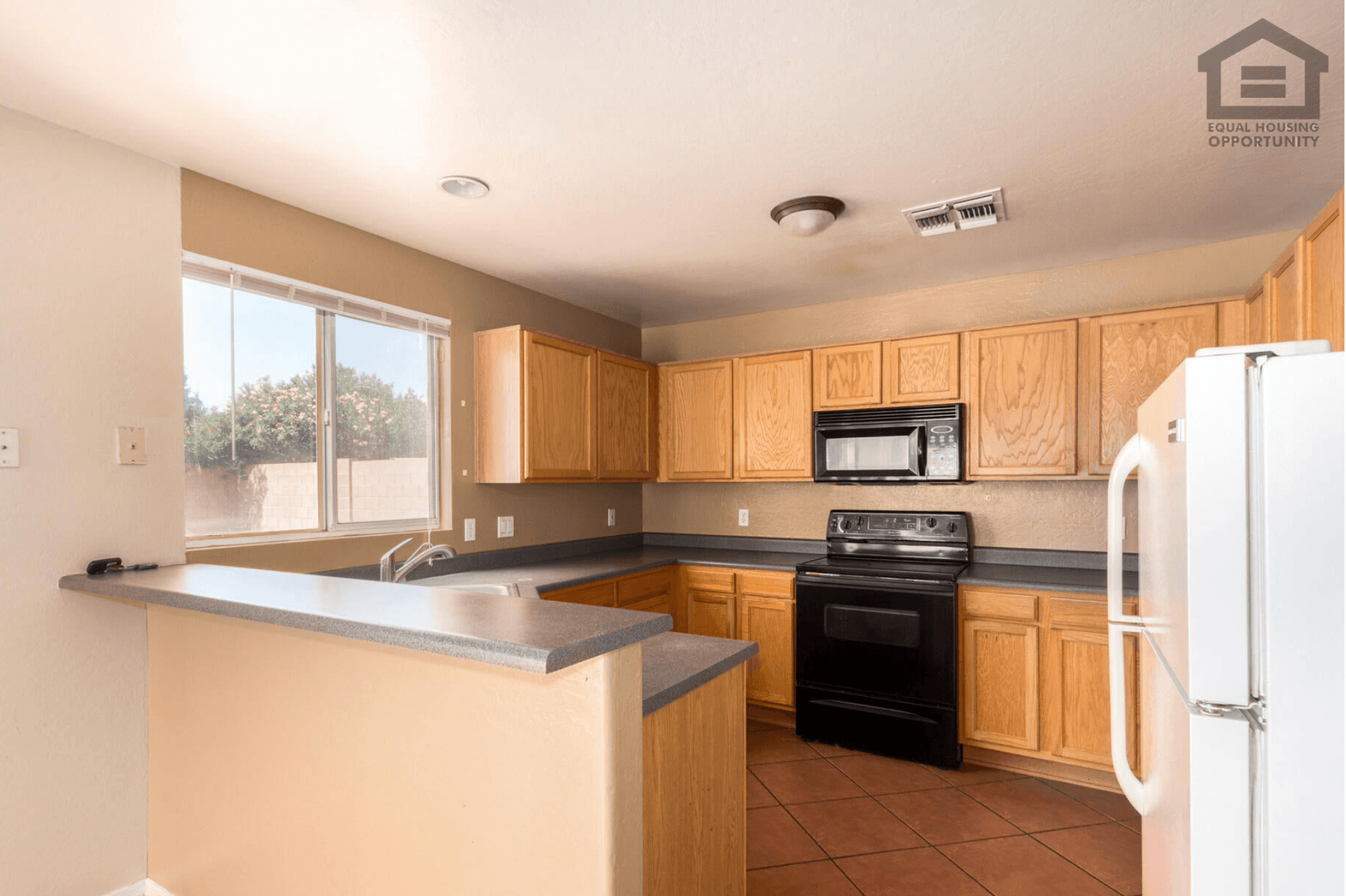 El Mirage House: 12221 W Aster Dr