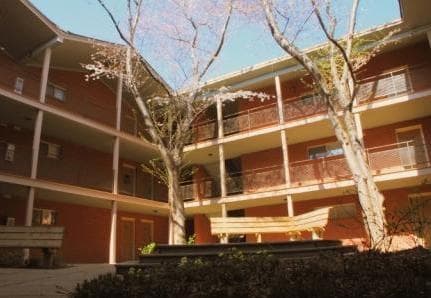 Athens Condo: 250 Little Street B309