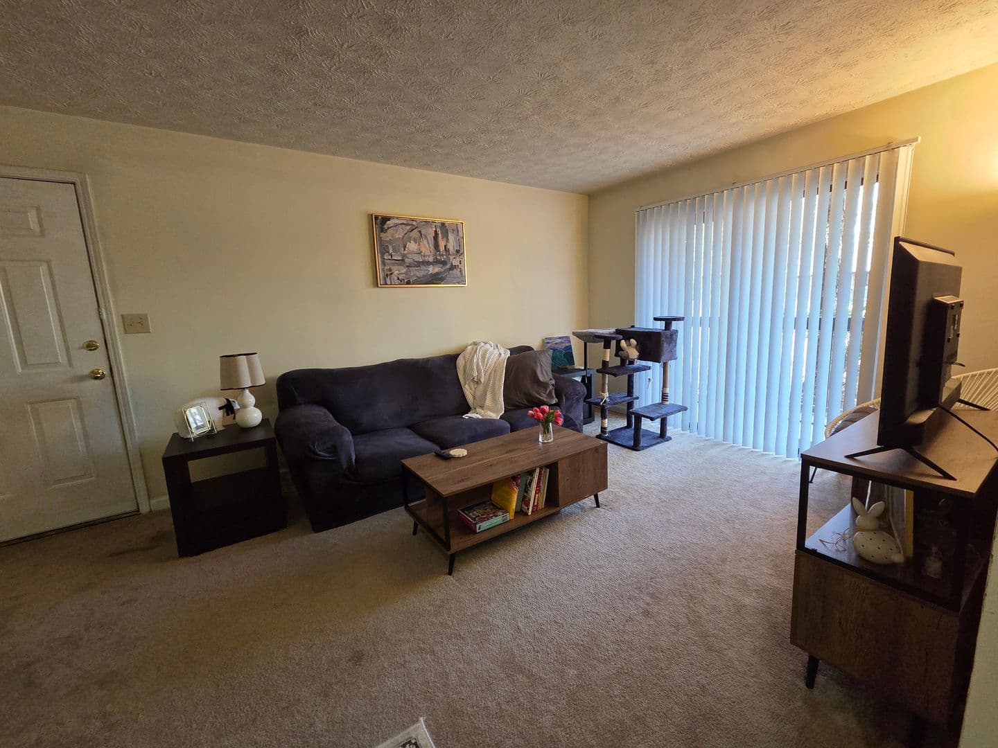 Athens Condo: 297 Peabody Street # 1