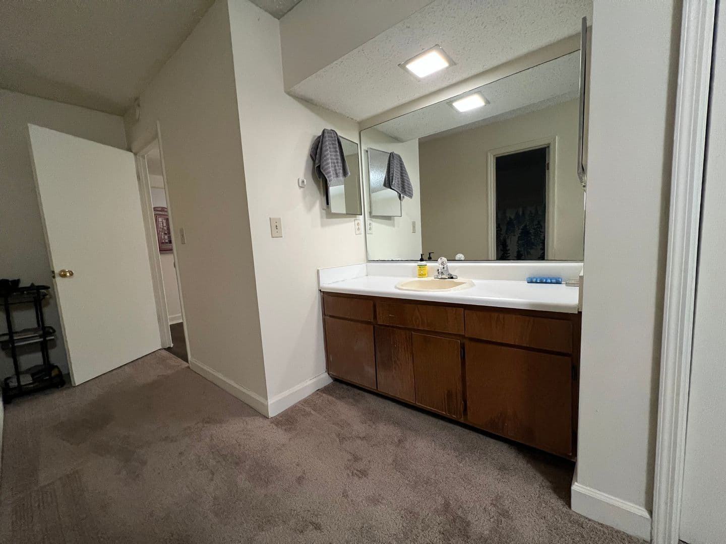 Athens Condo: 290 Appleby Drive #151
