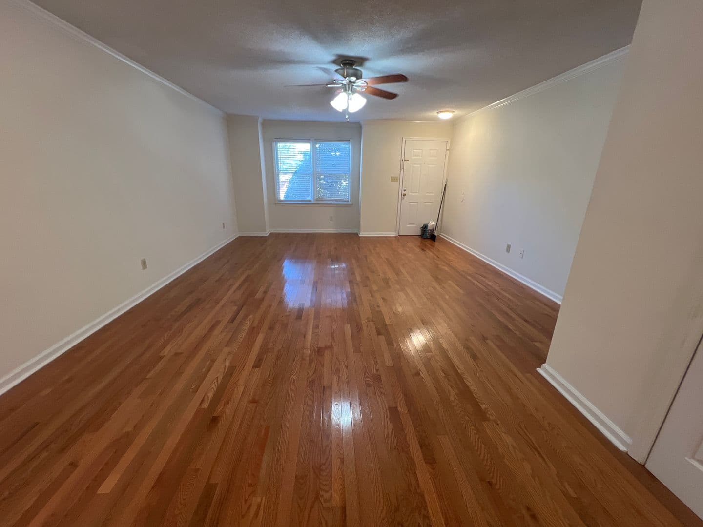 Athens Condo: 935 Baxter Street #15