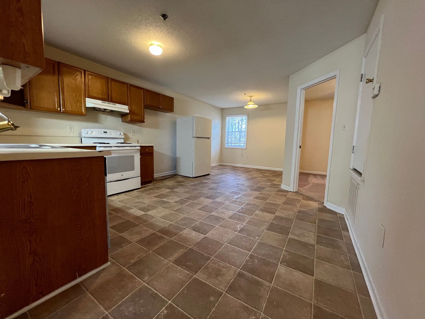 Athens Townhome: 1850 Cedar Shoals Dr. # D3