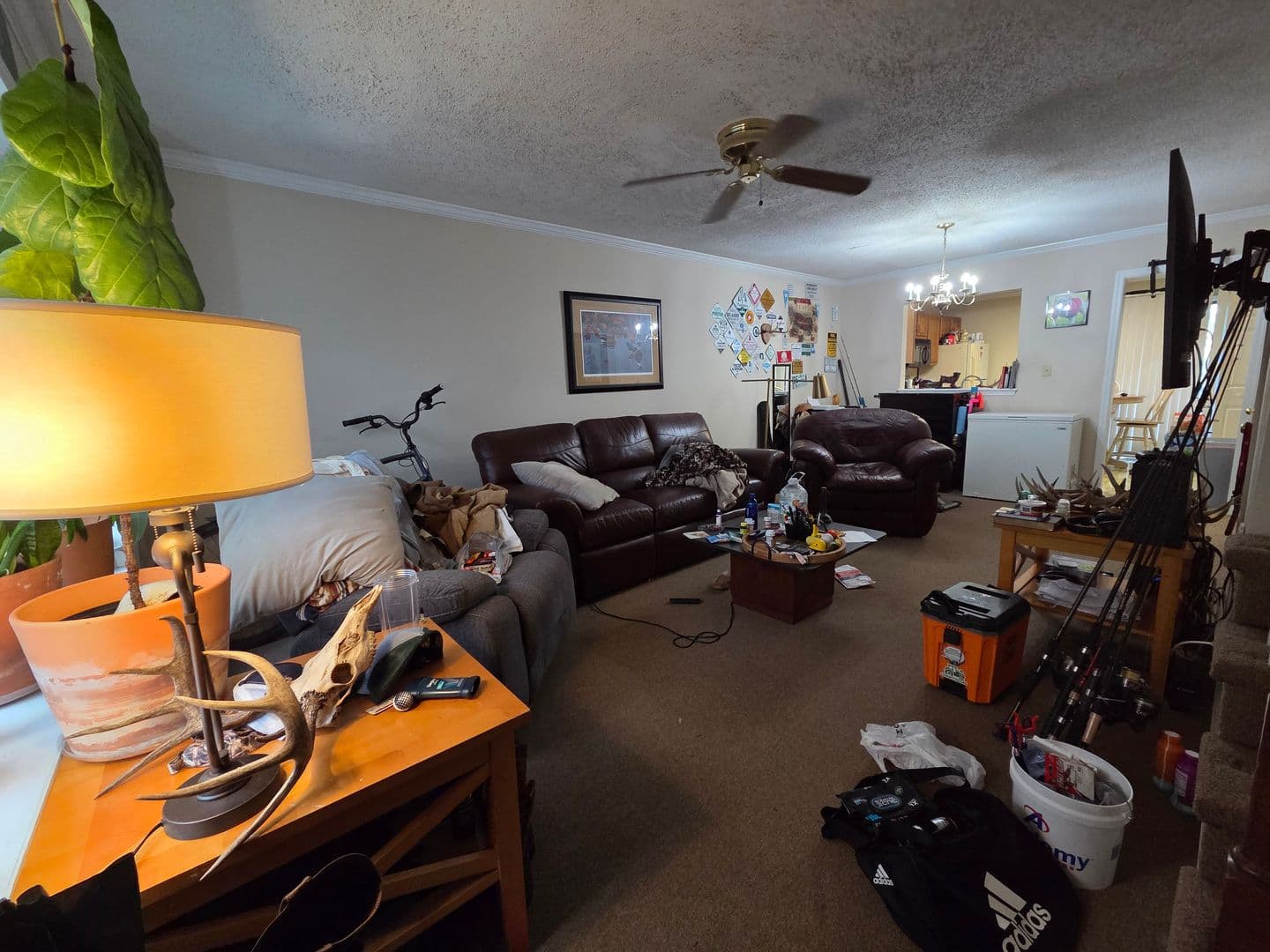 Athens Condo: 170 Northview Drive #1