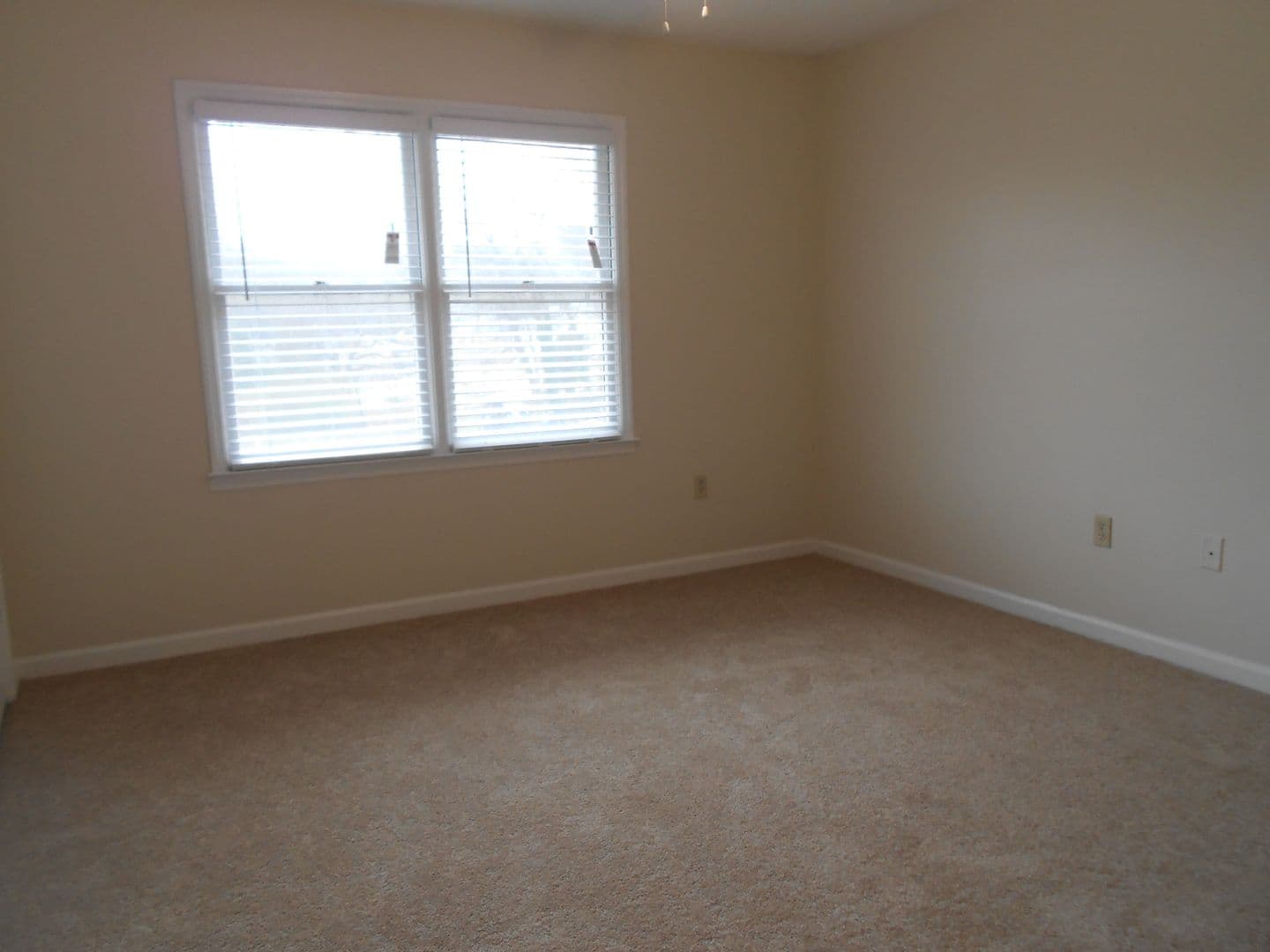 Athens Townhome: 1515 S. Lumpkin Street #217