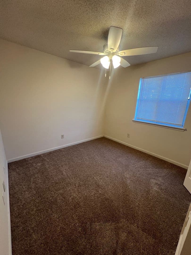 Athens Condo: 394 Oconee Street #17