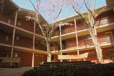 Athens Condo: 250 Little Street B204