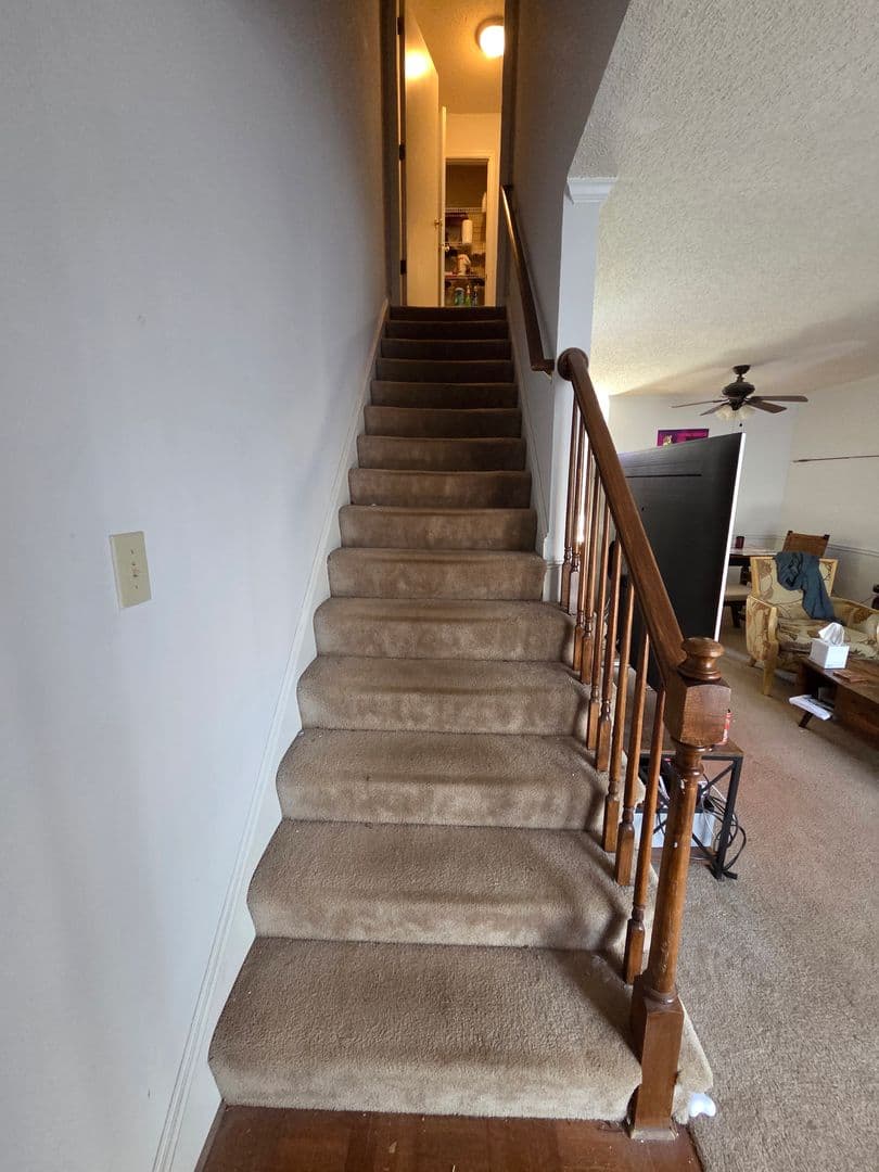 Athens Condo: 1515 S. Lumpkin Street #401