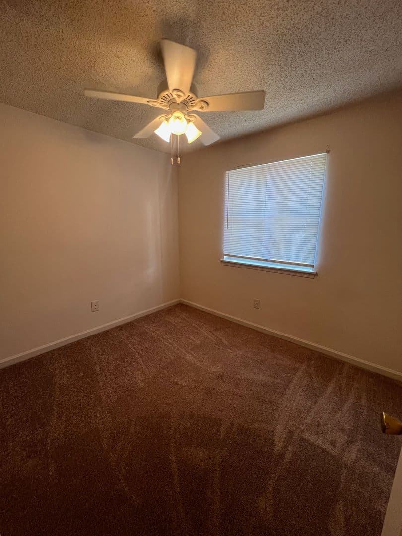 Athens Condo: 394 Oconee Street #17