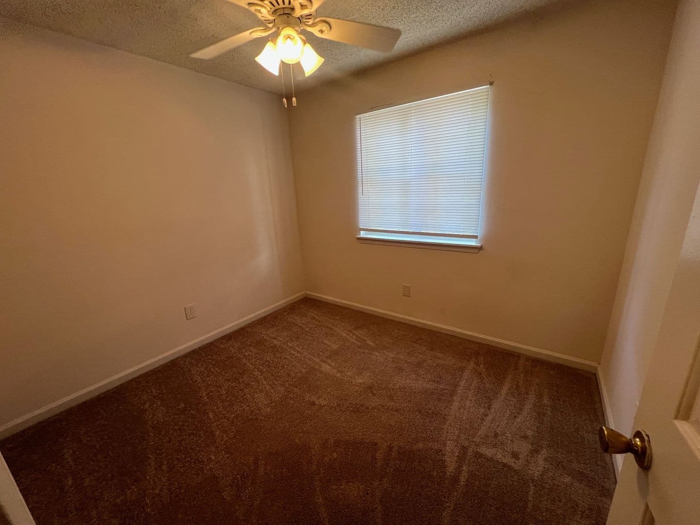 Athens Condo: 394 Oconee Street #17