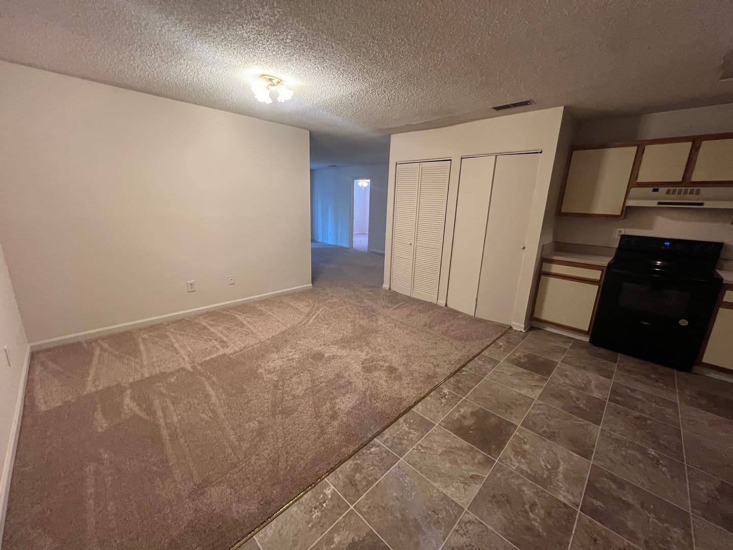 Athens Condo: 394 Oconee Street #17