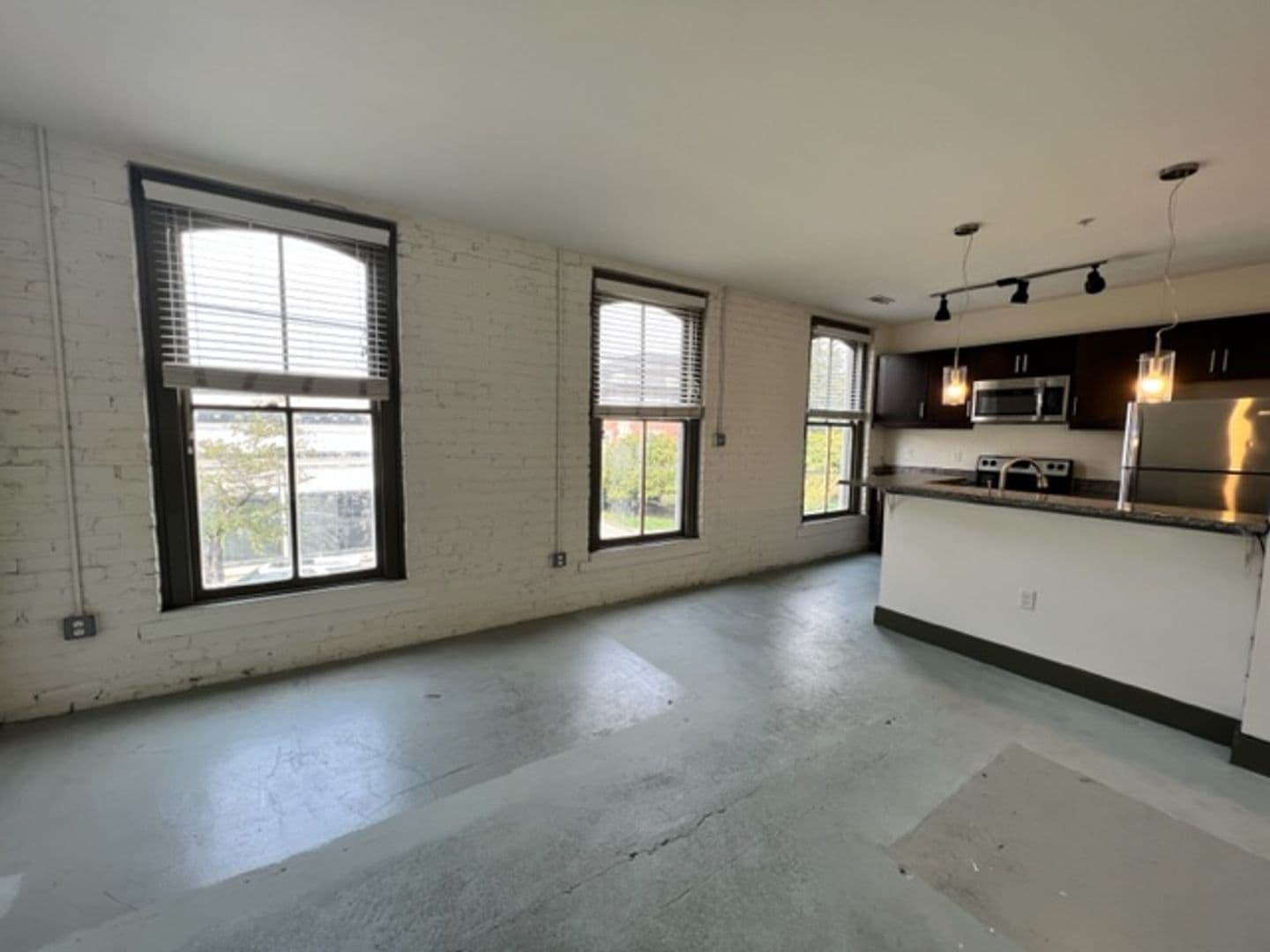 Richmond Apartment: 1100 Hull Street