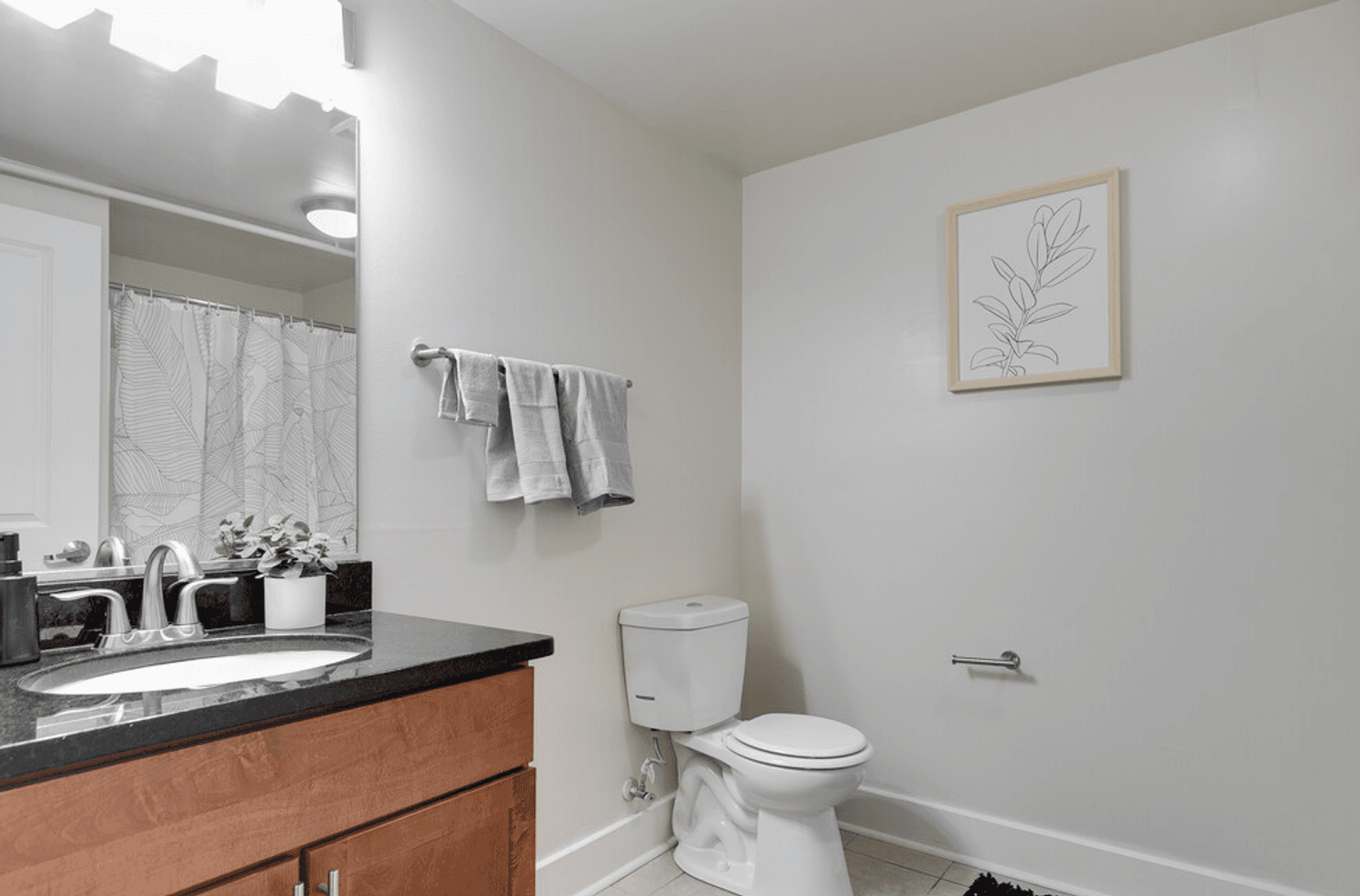 Richmond Apartment: 213 E Broad Street