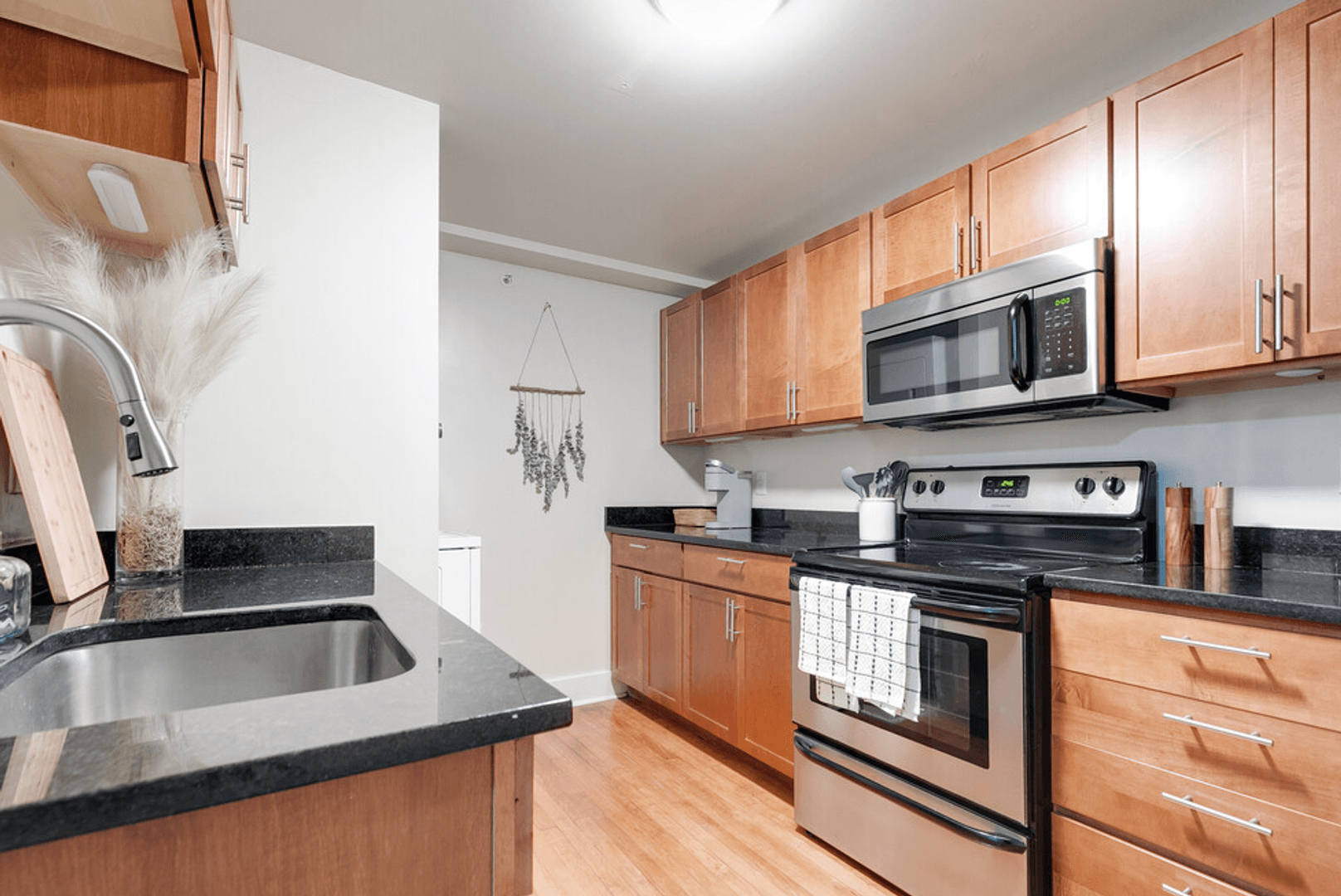 Richmond Apartment: 213 E Broad Street