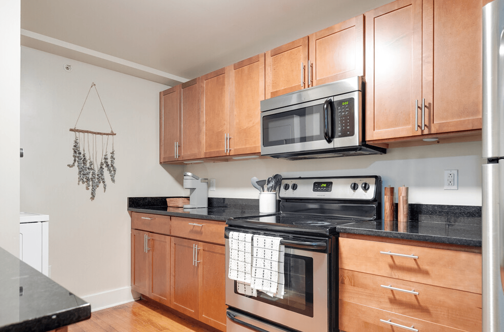 Richmond Apartment: 213 E Broad Street