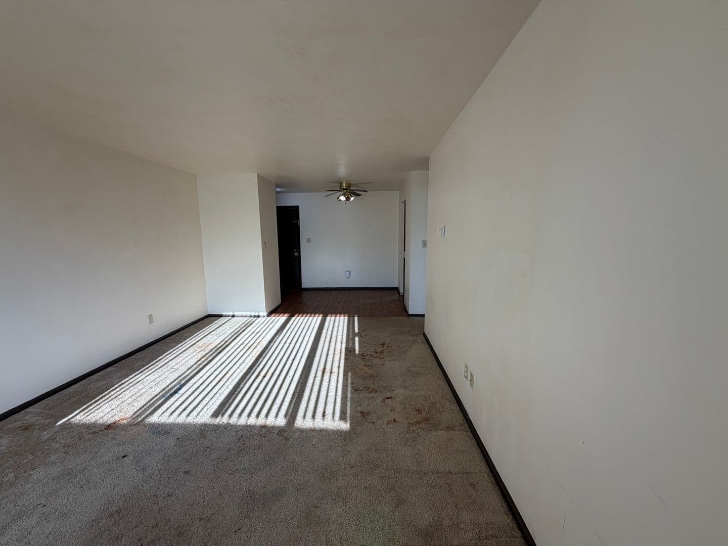 Green Bay Apartment: 111 S Platten St