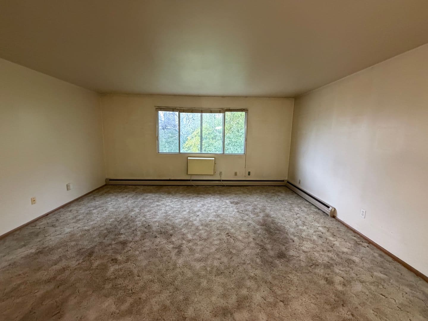 Green Bay Apartment: 113 S Platten St