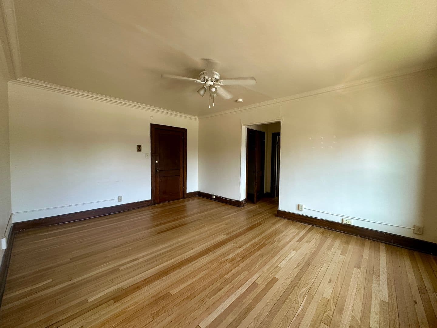 Milwaukee Apartment: 1725 E Park Place